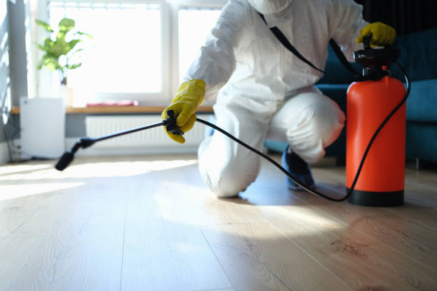 Reliable Infectious Disease Decontamination contractor in Hobe Sound, FL by Trauma Clean Pros